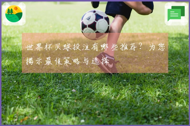 世界杯买球投注有哪些推荐？为您揭示最佳策略与选择