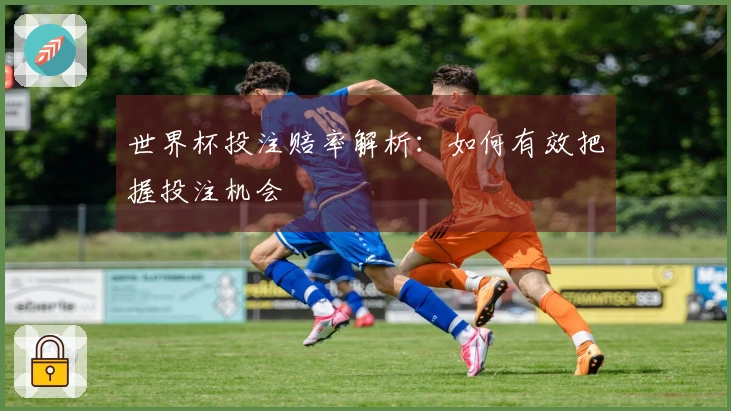 世界杯投注赔率解析：如何有效把握投注机会