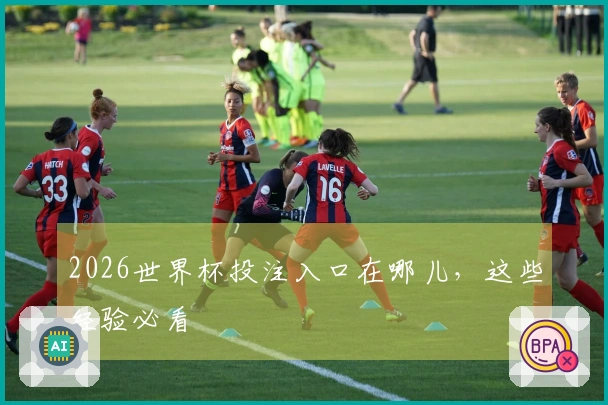 2026世界杯投注入口在哪儿，这些经验必看