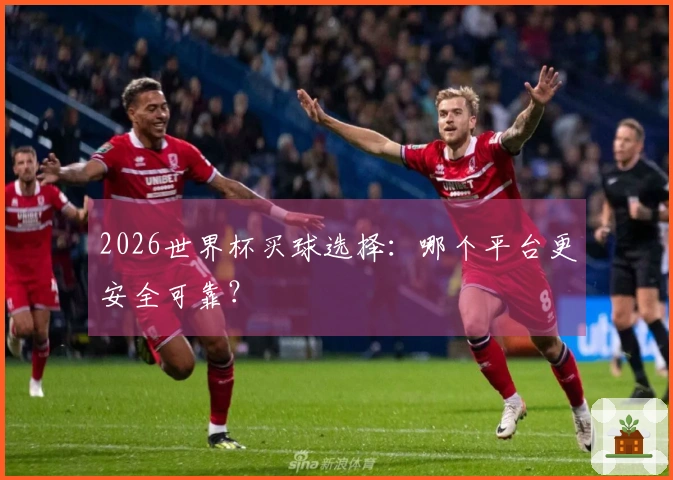 2026世界杯买球选择：哪个平台更安全可靠？