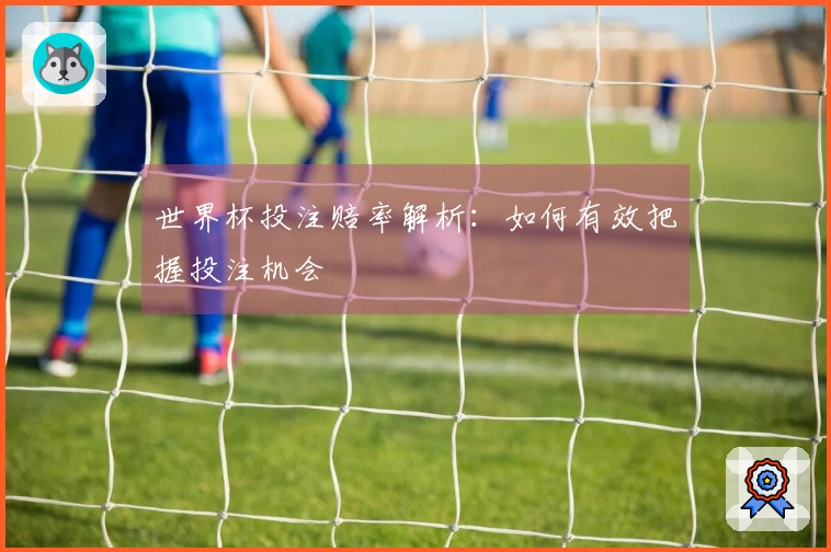 世界杯投注赔率解析：如何有效把握投注机会