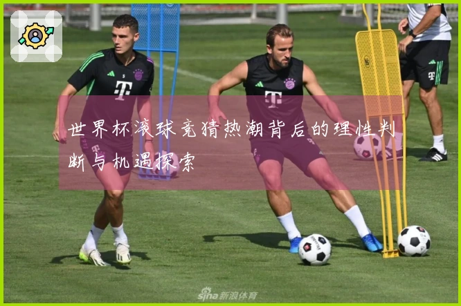 世界杯滚球竞猜热潮背后的理性判断与机遇探索
