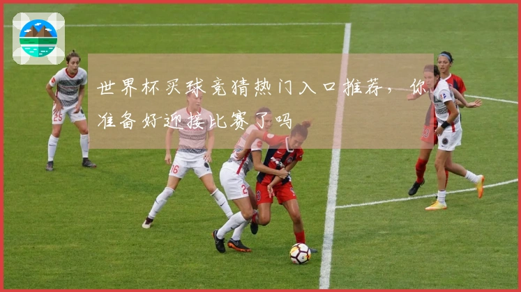 世界杯买球竞猜热门入口推荐，你准备好迎接比赛了吗