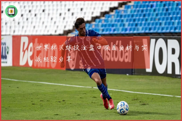 世界杯买球投注盘口深度分析与实战经验分享