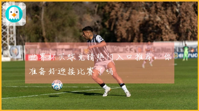 世界杯买球竞猜热门入口推荐，你准备好迎接比赛了吗
