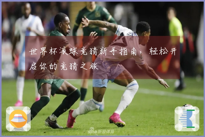 世界杯滚球竞猜新手指南，轻松开启你的竞猜之旅