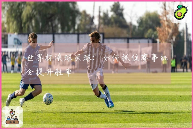世界杯滚球买球：如何抓住赛事机会提升胜率